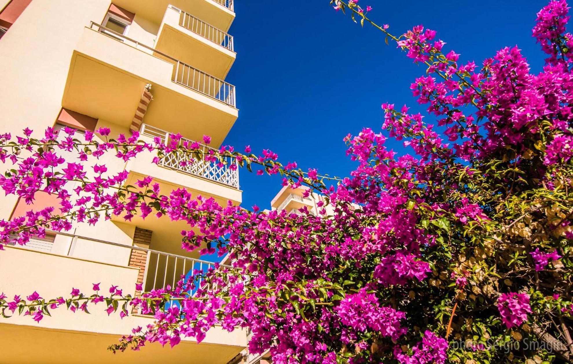 908 Minerva Apartamentos - Vistas Al Mar - Piscina Y Playa Benalmádena Exteriör bild